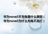 华为nova5不充电是什么原因（华为nova5为什么充电不亮灯）