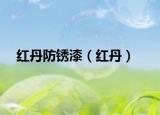 红丹防锈漆（红丹）