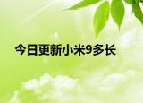 今日更新小米9多长