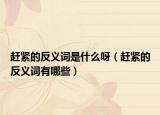 赶紧的反义词是什么呀（赶紧的反义词有哪些）