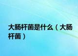 大肠杆菌是什么（大肠杆菌）