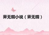 霁无瑕小说（霁无瑕）