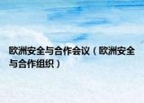 欧洲安全与合作会议（欧洲安全与合作组织）