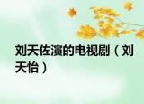 刘天佐演的电视剧（刘天怡）