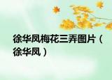 徐华凤梅花三弄图片（徐华凤）
