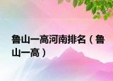鲁山一高河南排名（鲁山一高）