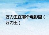 万力王在哪个电影里（万力王）