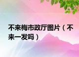 不来梅市政厅图片（不来一发吗）