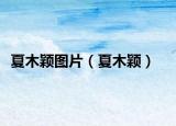 夏木颖图片（夏木颖）