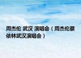 周杰伦 武汉 演唱会（周杰伦蔡依林武汉演唱会）