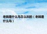 老鸹是什么鸟怎么叫的（老鸹是什么鸟）