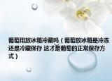 葡萄用放冰箱冷藏吗（葡萄放冰箱是冷冻还是冷藏保存 这才是葡萄的正常保存方式）