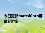 今日更新mate40pro屏幕分辨率