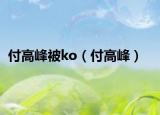 付高峰被ko（付高峰）