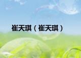 崔天琪（崔天琪）