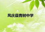 凤庆县青树中学