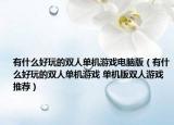 有什么好玩的双人单机游戏电脑版（有什么好玩的双人单机游戏 单机版双人游戏推荐）
