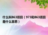什么叫863项目（973和863项目是什么意思）