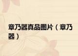 章乃器真品图片（章乃器）