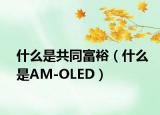 什么是共同富裕（什么是AM-OLED）