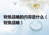 财务战略的内容是什么（财务战略）