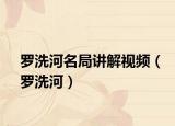 罗洗河名局讲解视频（罗洗河）