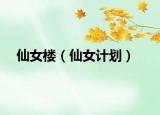 仙女楼（仙女计划）