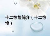 十二惊惶简介（十二惊惶）
