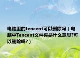 电脑里的tencent可以删除吗（电脑中Tencent文件夹是什么意思?可以删除吗?）
