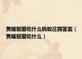 黄喉貂爱吃什么蚂蚁庄园答案（黄喉貂爱吃什么）