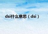 dsi什么意思（dsi）