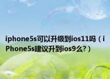 iphone5s可以升级到ios11吗（iPhone5s建议升到ios9么?）