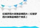 红楼梦四大家族是哪四大（红楼梦四大家族是哪四个姓氏）