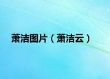 萧洁图片（萧洁云）