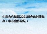 中非合作论坛2021峰会啥时候举办（中非合作论坛）