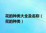 花的种类大全及名称（花的种类）