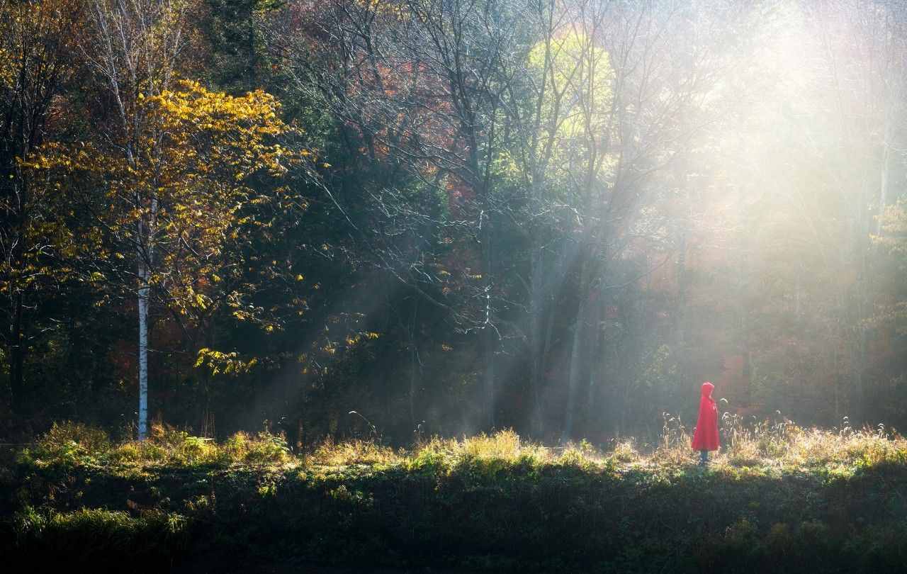 10部世界名著，浓缩成10句话，一生至少要读一次