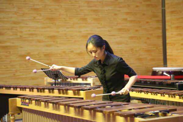 除了“退堂鼓”，你还知道哪些打击乐器？