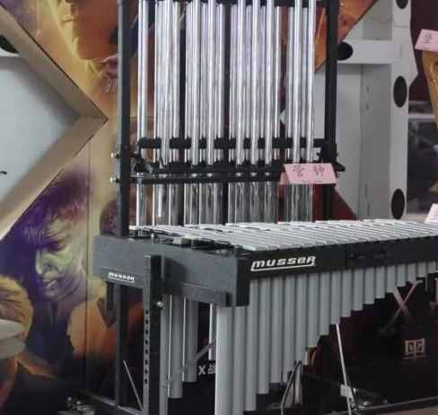 除了“退堂鼓”，你还知道哪些打击乐器？