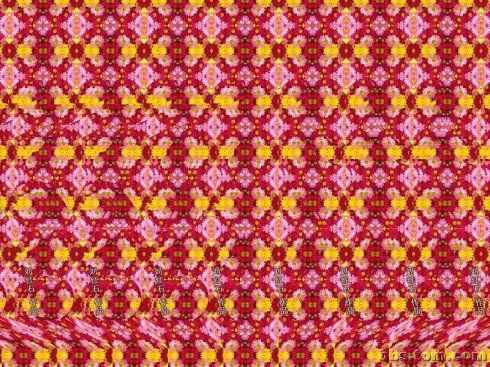 神奇的3D立体图，OMG，我看到了什么！