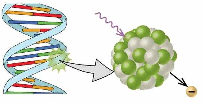 手机辐射的危害到底有多大？