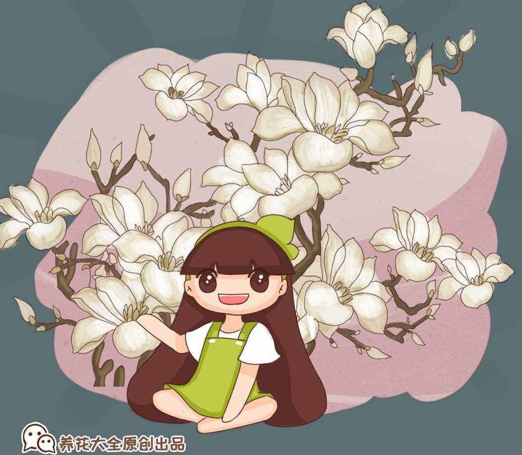 春天常见的40种花，教你从头认个遍，以后认花再也不求人！