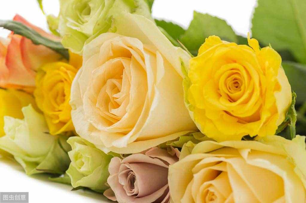 养花知识：花朵为什么会散发香味？