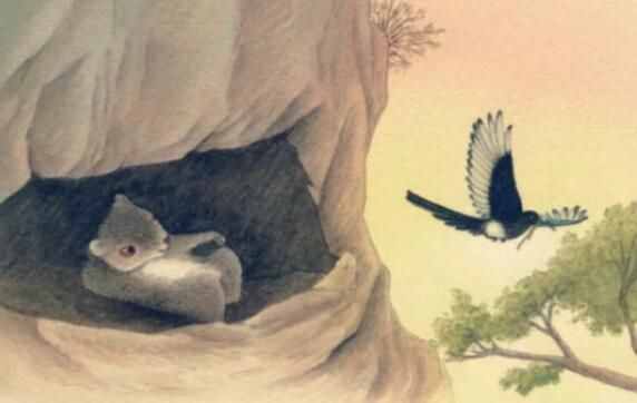 涨知识了，大名鼎鼎的寒号鸟根本就不是鸟类