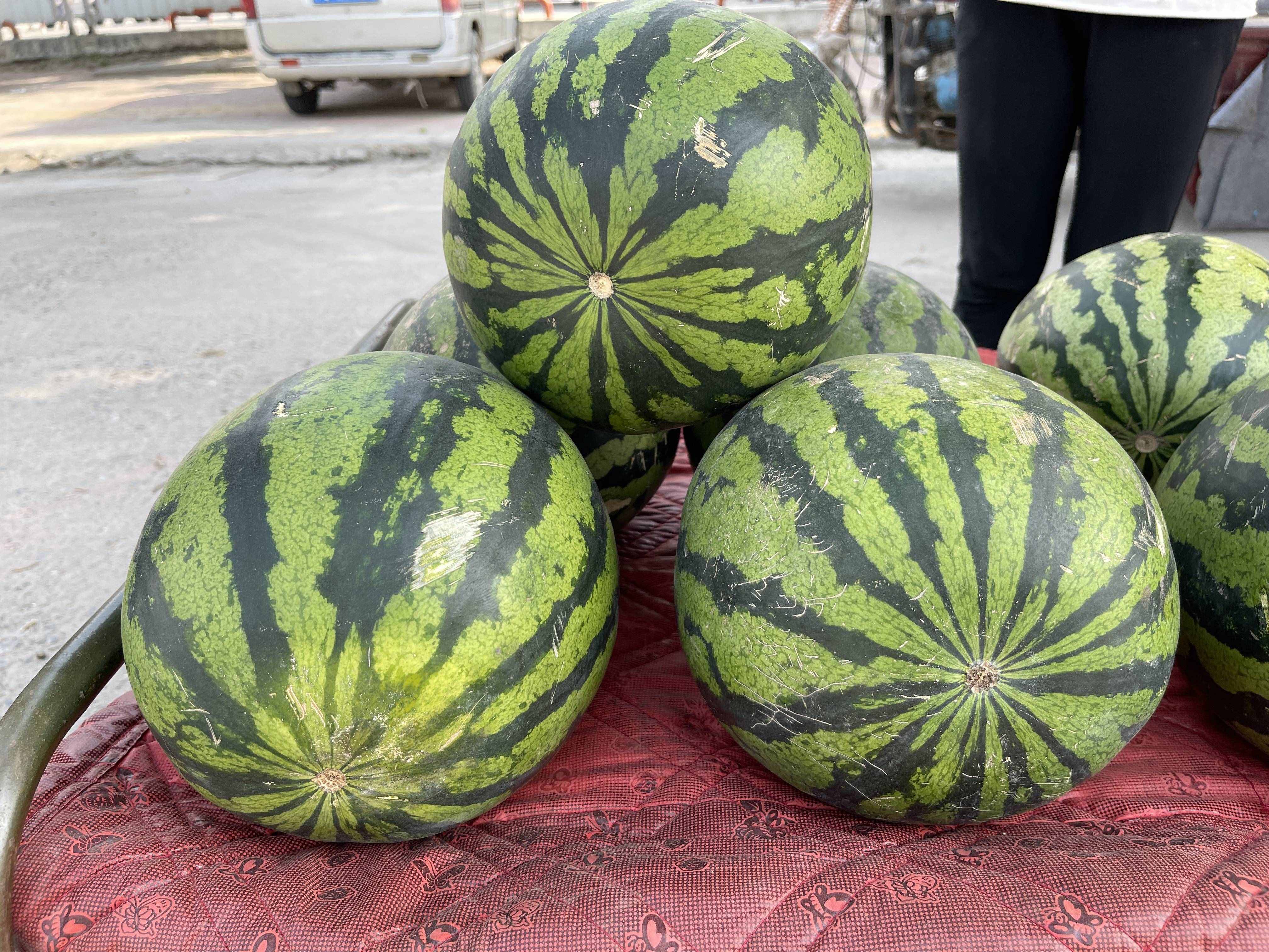 西瓜甜不甜，看一眼这里就知道，保你一挑一个准，果农方法真管用