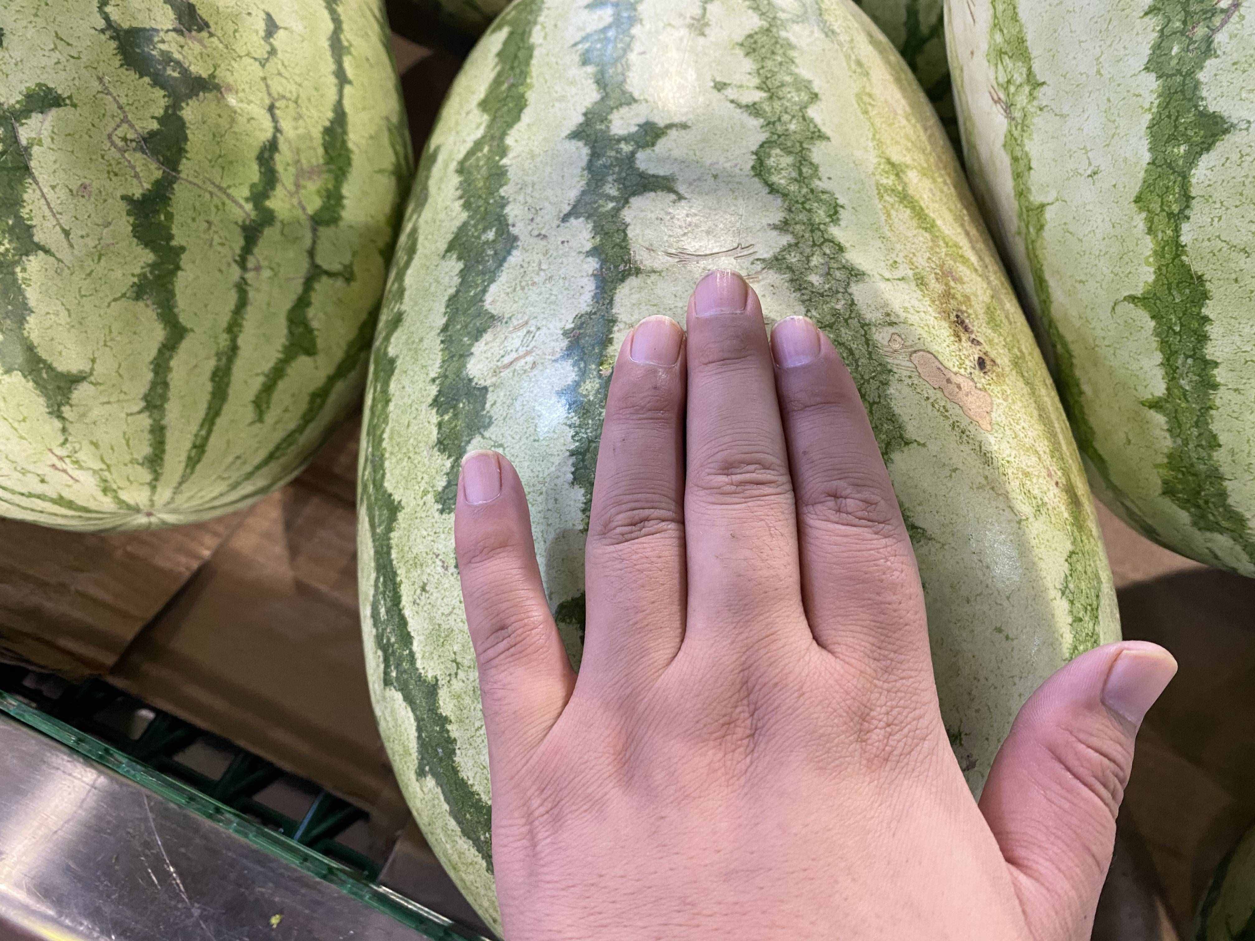 西瓜甜不甜，看一眼这里就知道，保你一挑一个准，果农方法真管用