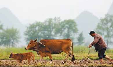 二月二龙抬头，关于二月二的风俗和禁忌，你都知道吗？