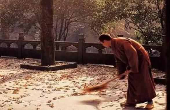 淡然是什么意思(淡然处之)