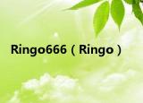 Ringo666（Ringo）