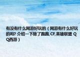 有没有什么网游好玩的（网游有什么好玩的吗? 介绍一下除了跑跑,CF,英雄联盟 QQ西游）